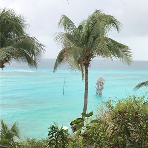 Meet your Posher, Lynne